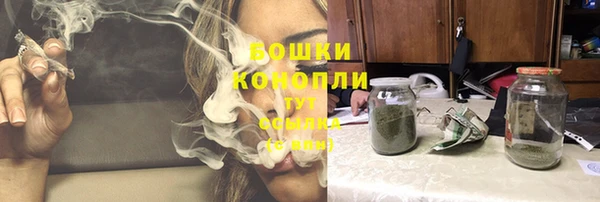 мдпв Майский