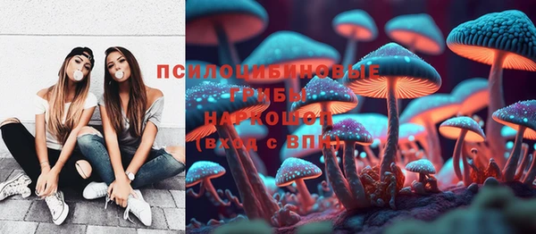 сатива Магас
