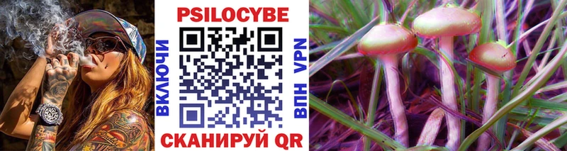 Псилоцибиновые грибы прущие грибы  ОМГ ОМГ вход  Алагир 